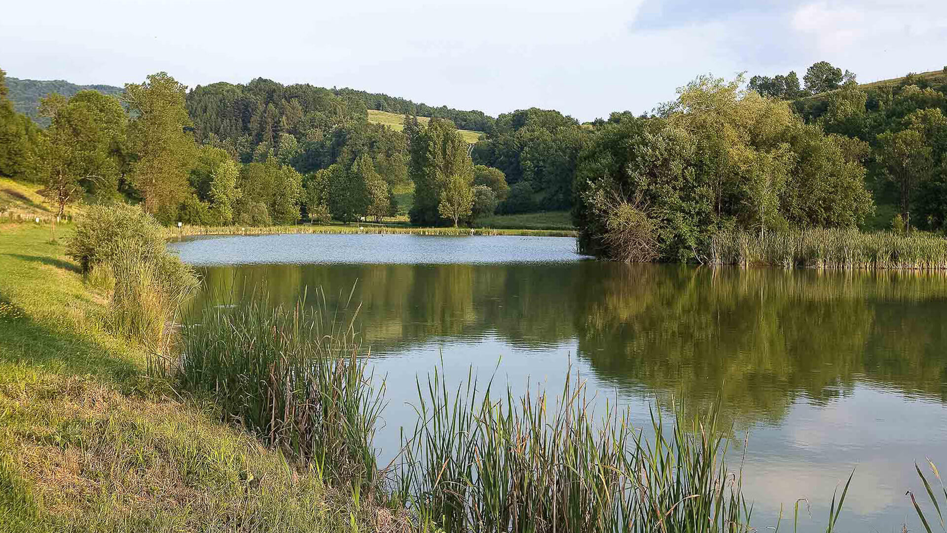 Le Bugey Hotel restaurant Ain