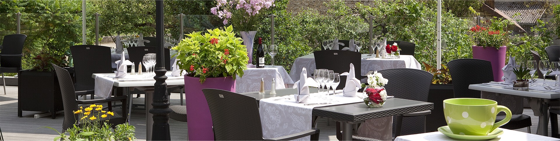 Terrasse Hotel restaurant Ain